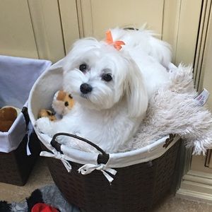 Meet your Posher, Jeanette